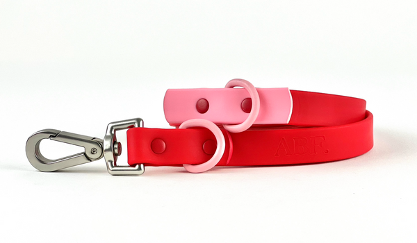 Cherry Red Dog Lead