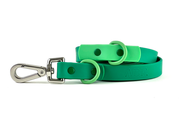 Green Dog Lead