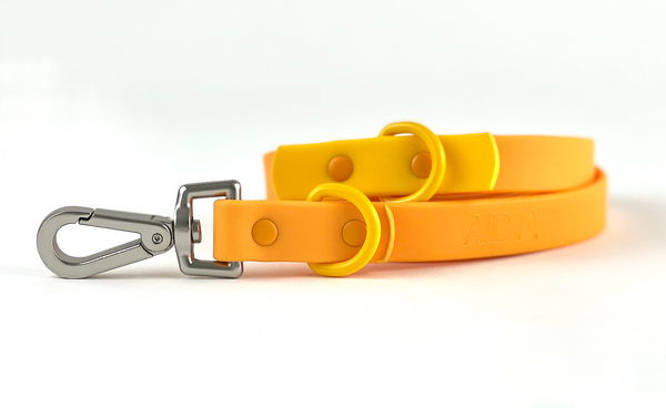 Orange Mango Dog Lead