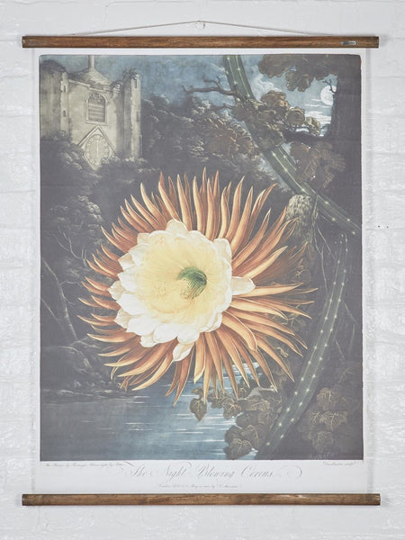 Erstwhile Wall Hanging The Night Flower