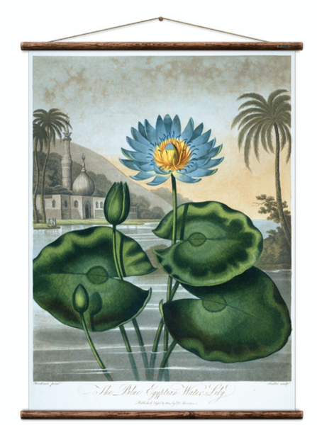 Erstwhile Wall Hanging Water Lilly