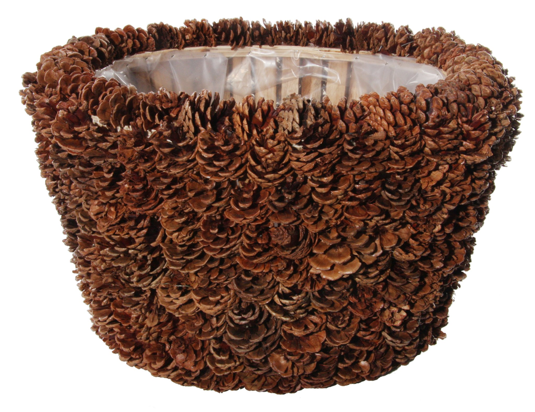 Shishi Pine Cone Pot