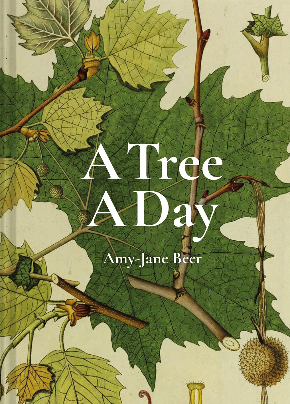 A Tree A Day Book