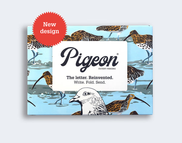 Distinctly Living Hebridean Pigeons Notecards