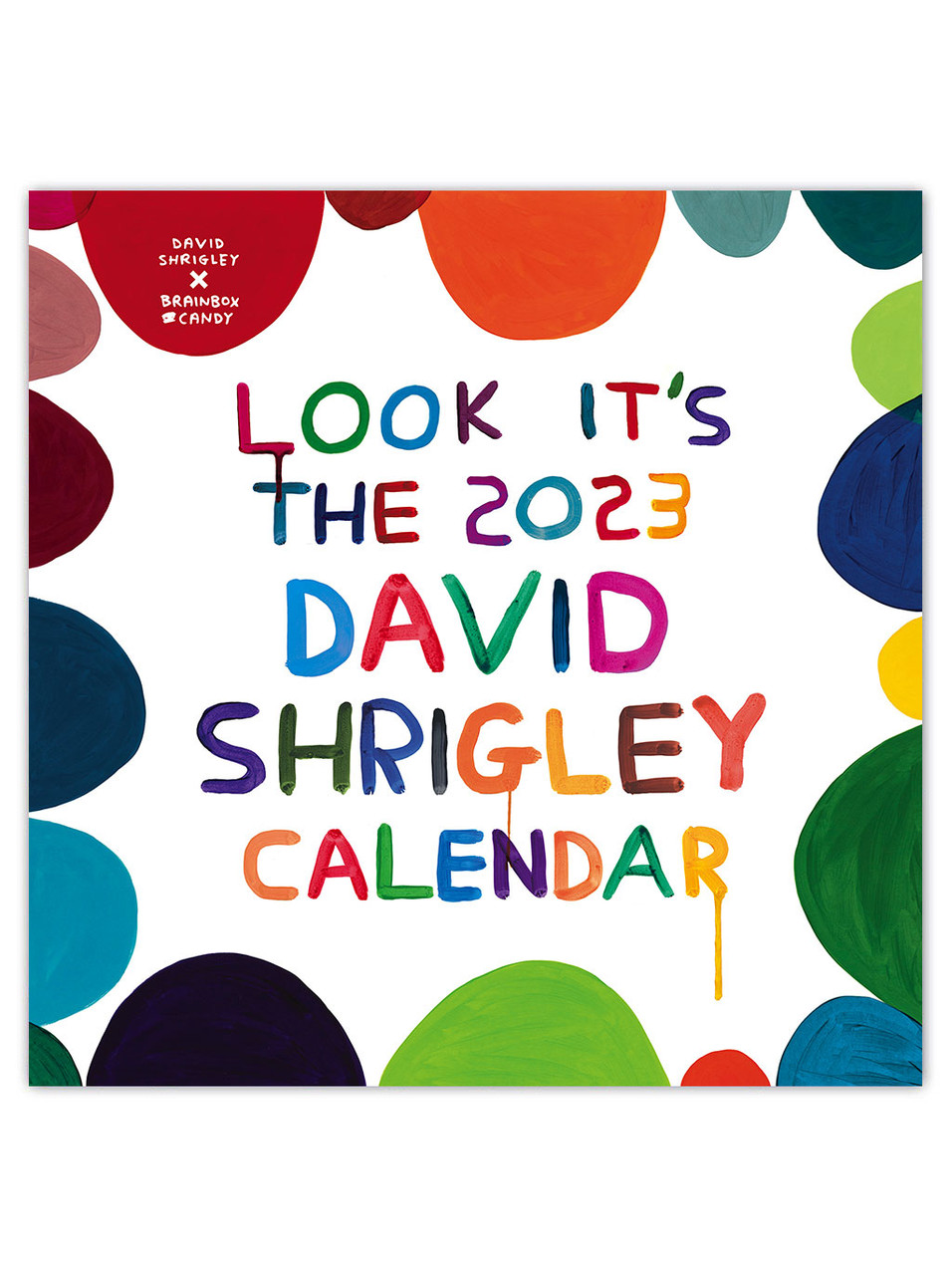 David Shrigley David Shrigley 2023 Wall Calendar