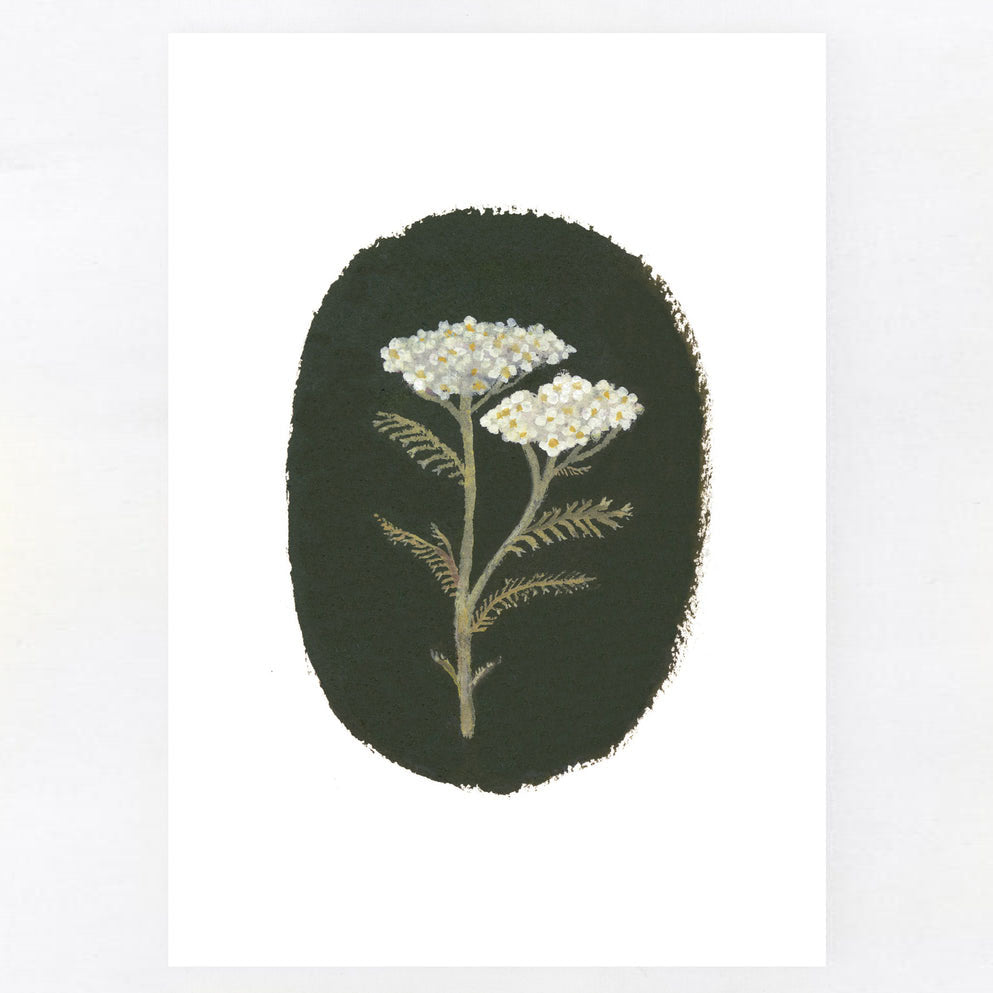 Yarrow A5 Print