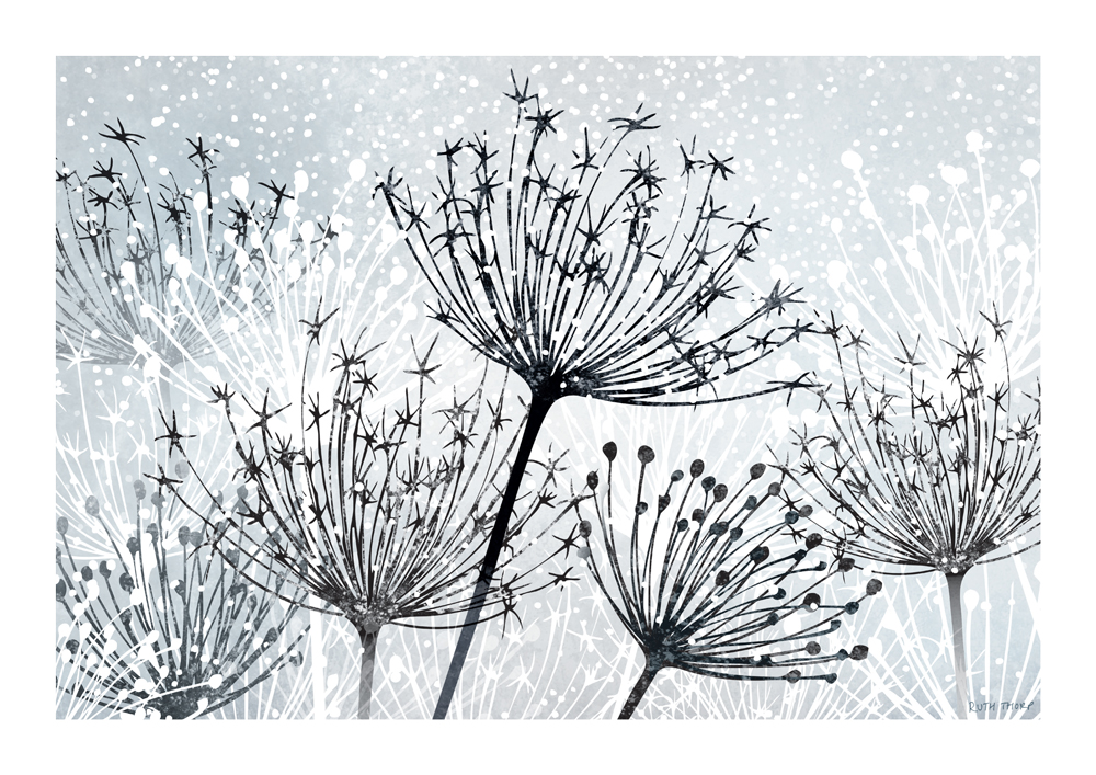 Ruth Thorp Studio A3 Seedheads Art Print - Winter Garden Series