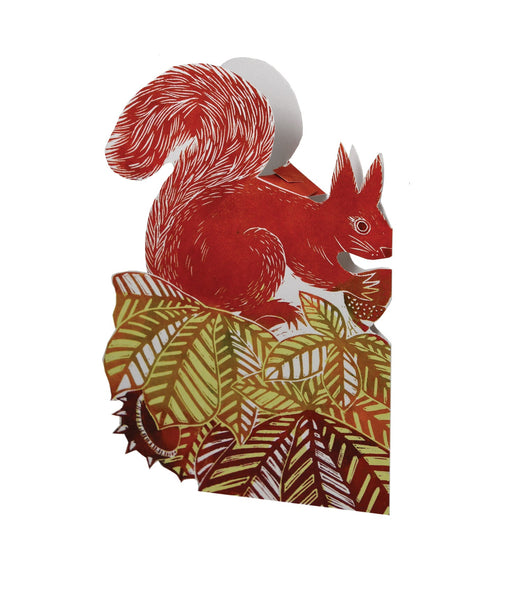 Squirrel 3d Card