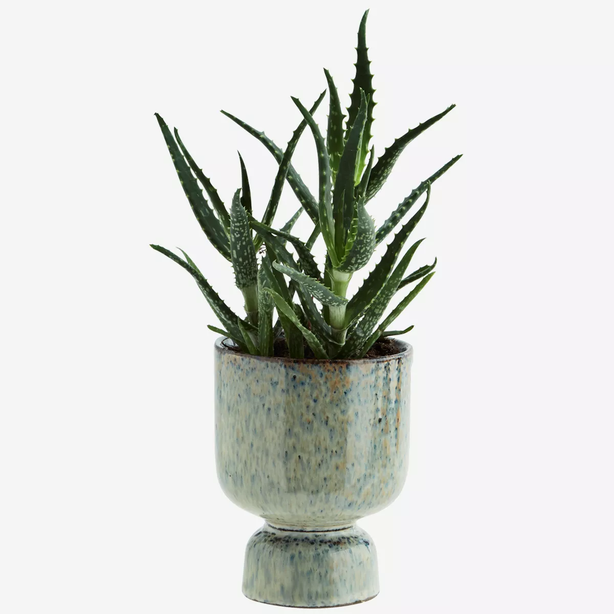 Large Lichen Stoneware Flower Pot