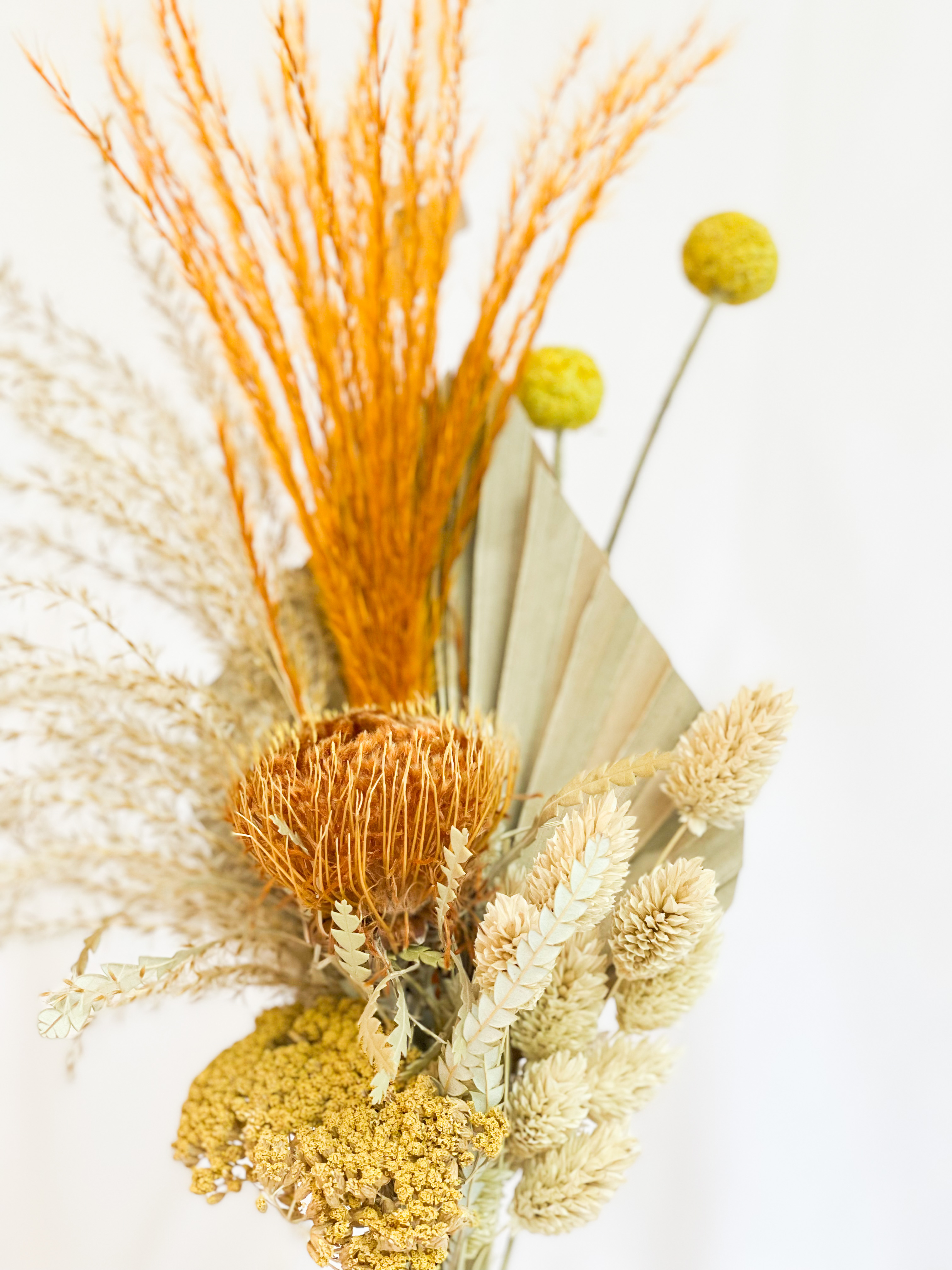 Orange Dried Everlasting Bud Vase