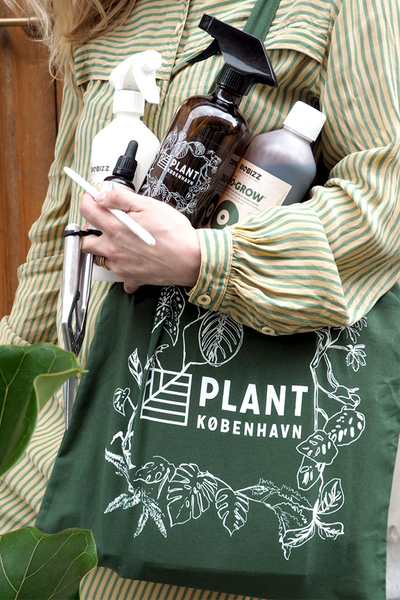 All You Need - Luxury Plant Care