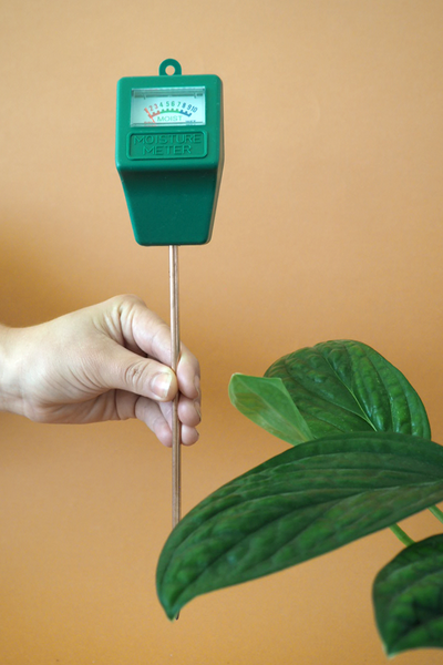 Moisture meter