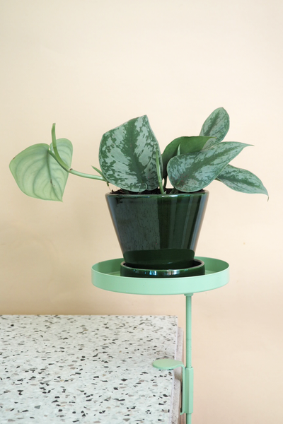 Plant tray Mint green