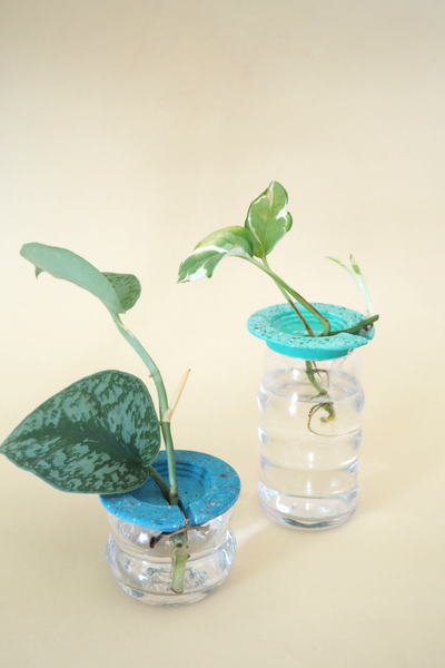 Cutting bowl Turquoise