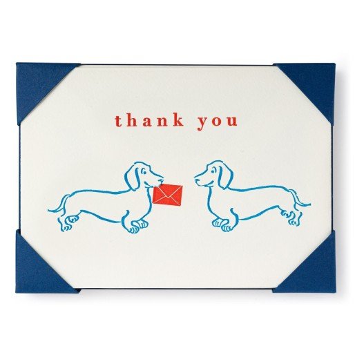 Dachsund Thank You Cards Pack Of 5