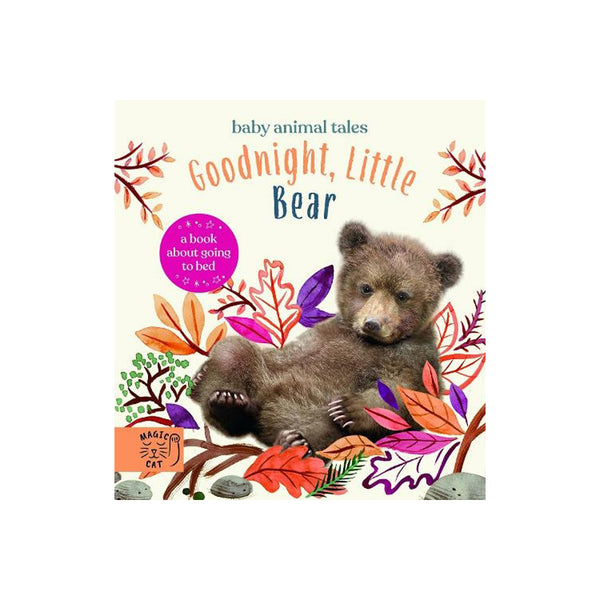 Magic Cat Publishing Goodnight, Little Bear