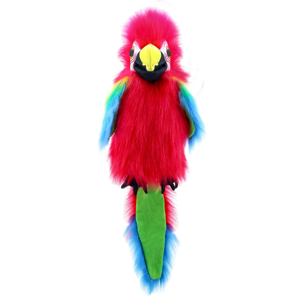 - Scarlet Macaw