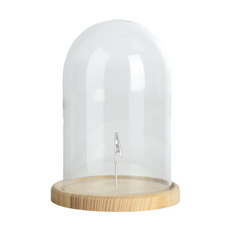 ESSCHERT DESIGN Glass Cloche on Wooden Base - Sustainable