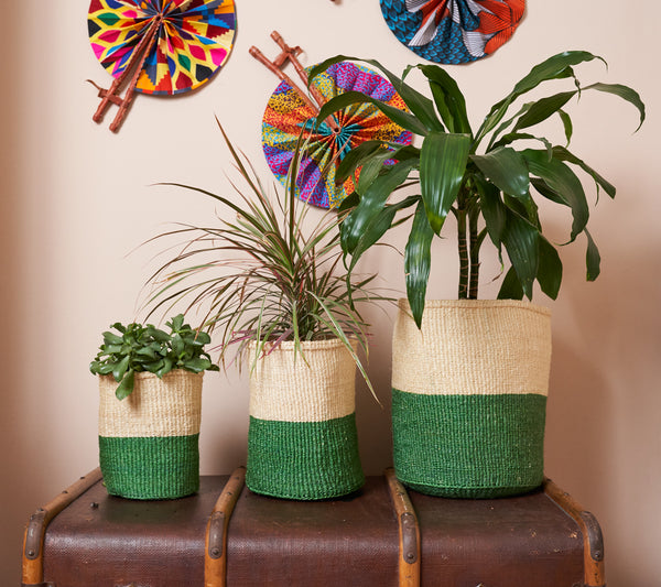 Sisal Basket 'green And Natural' Set Of Three