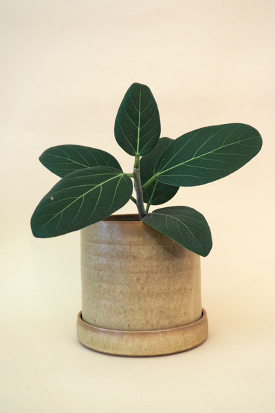 Large Cylinder Jar Light Brown