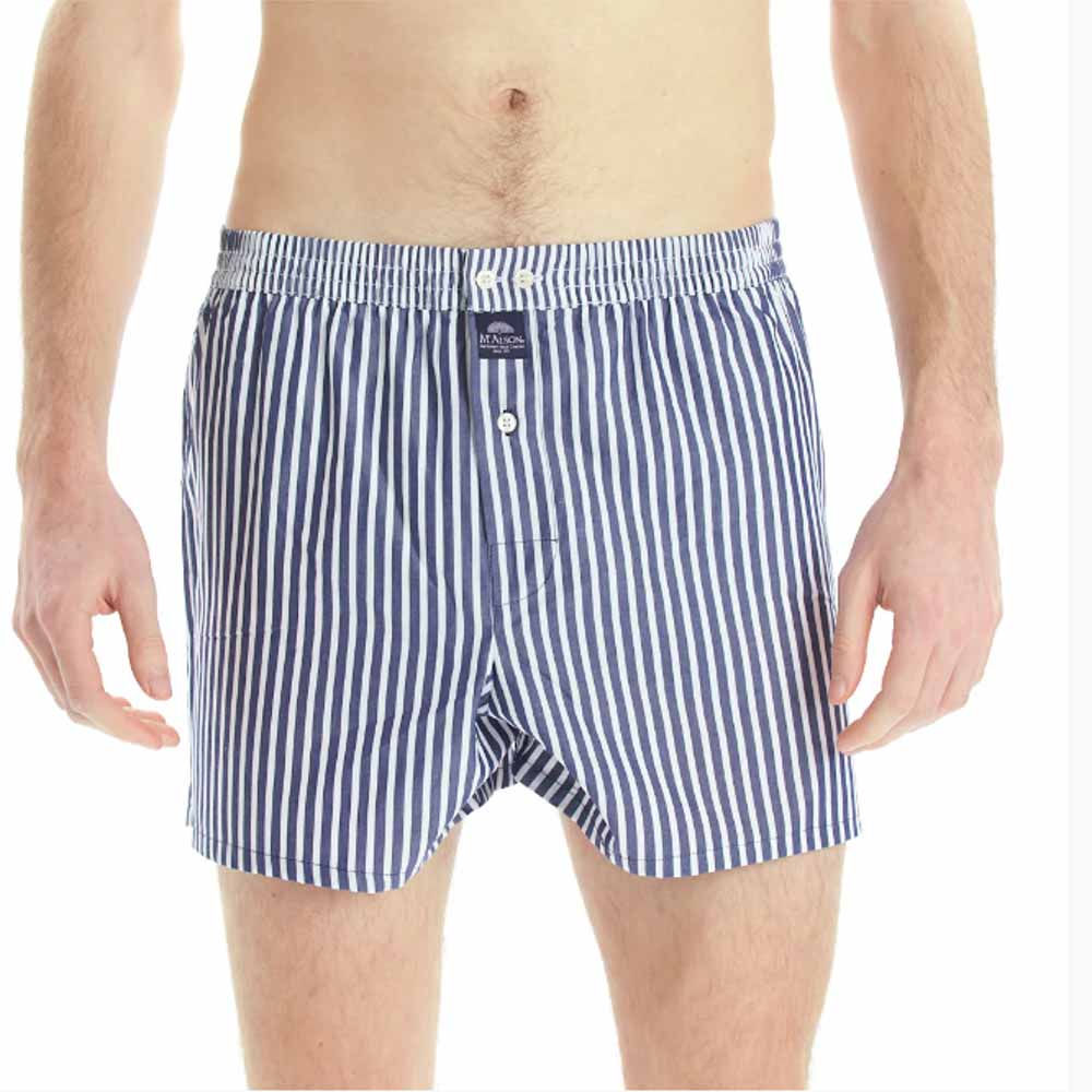 Blue Striped Briefs M0230