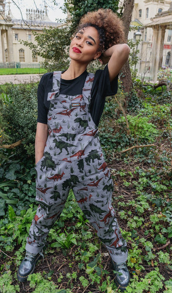 Grey Dinosaur Twill Dungarees