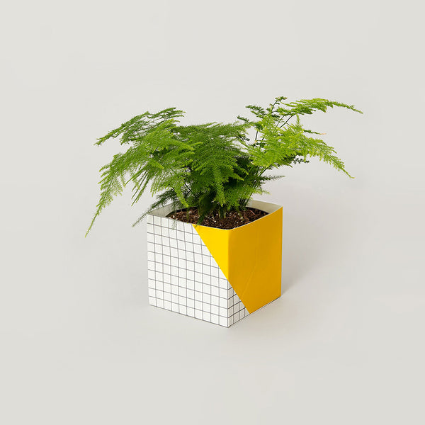 Geometric Plant Cover Large Yellow/grid