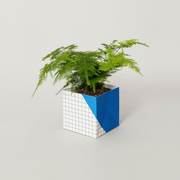 Geometric Plant Cover Large Blue/grid