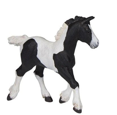 Black Piebald Cob Foal