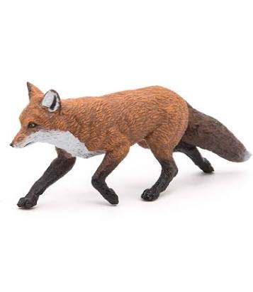 Fox