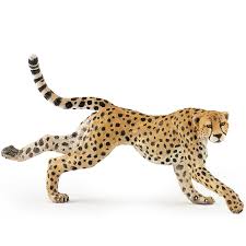 Running Cheetah