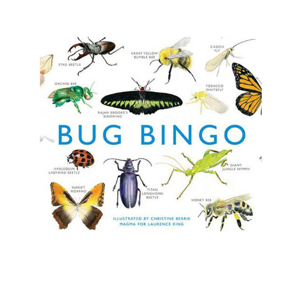 Bug Bingo Game