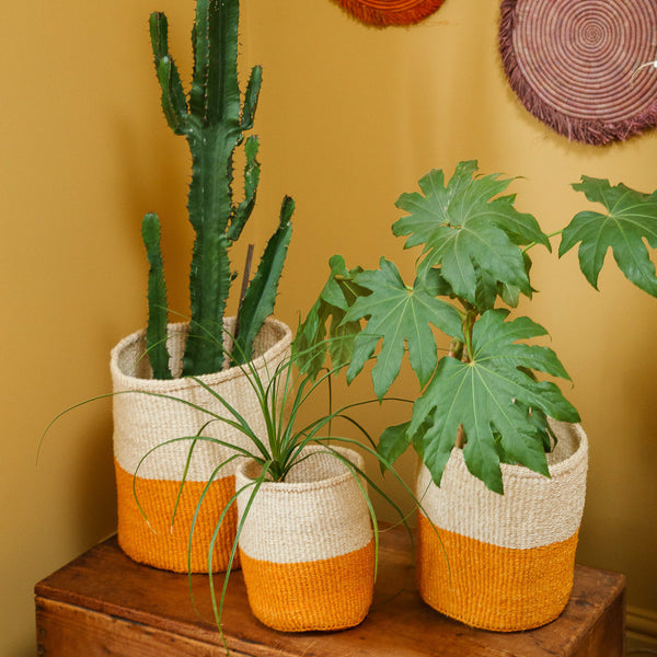 Kenyan Sisal Basket 'turmeric And Natural' Set Of Three