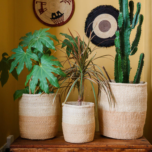 Kenyan Sisal Basket 'sand And Natural' Set Of Three