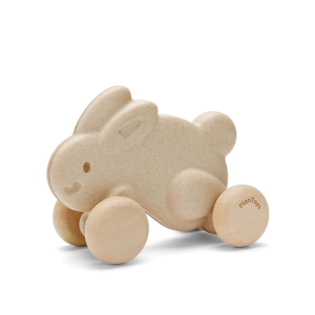 Bunny Push Along Toy