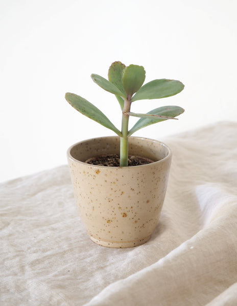 Plant cup - Sand