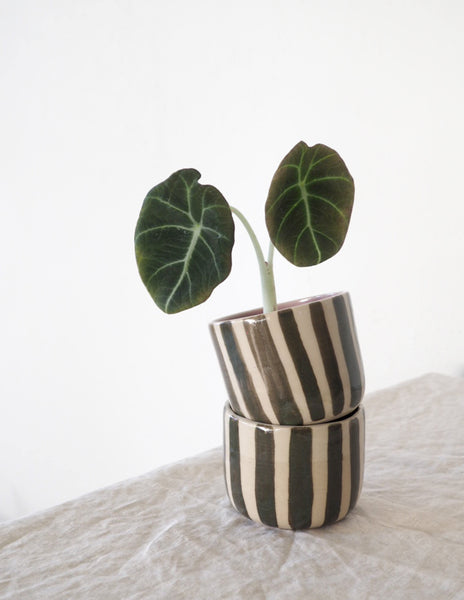 Plant cup - Striped