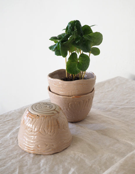 Plant bowl - Round