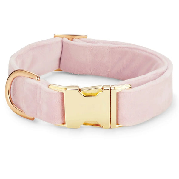 THE FOGGY DOG Blush Pink Velvet Dog Collar