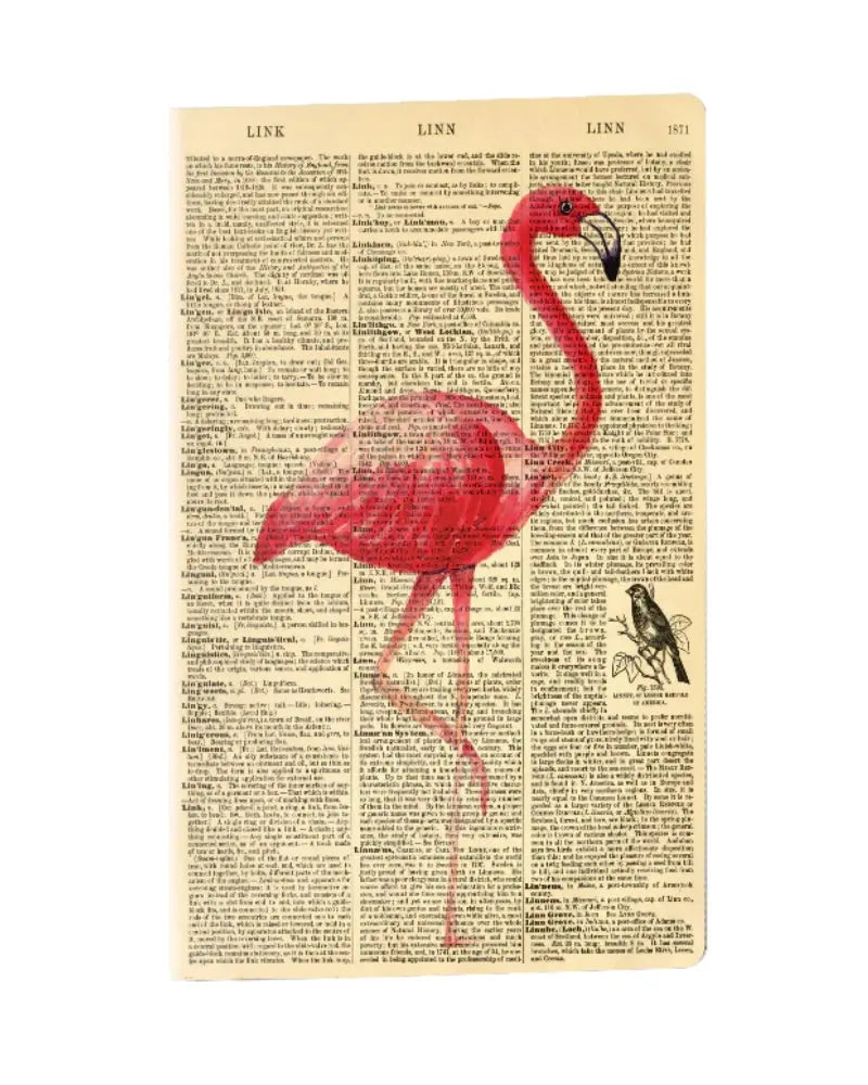WeAct Company Flamingo Dictionary A5 Lined Notebook