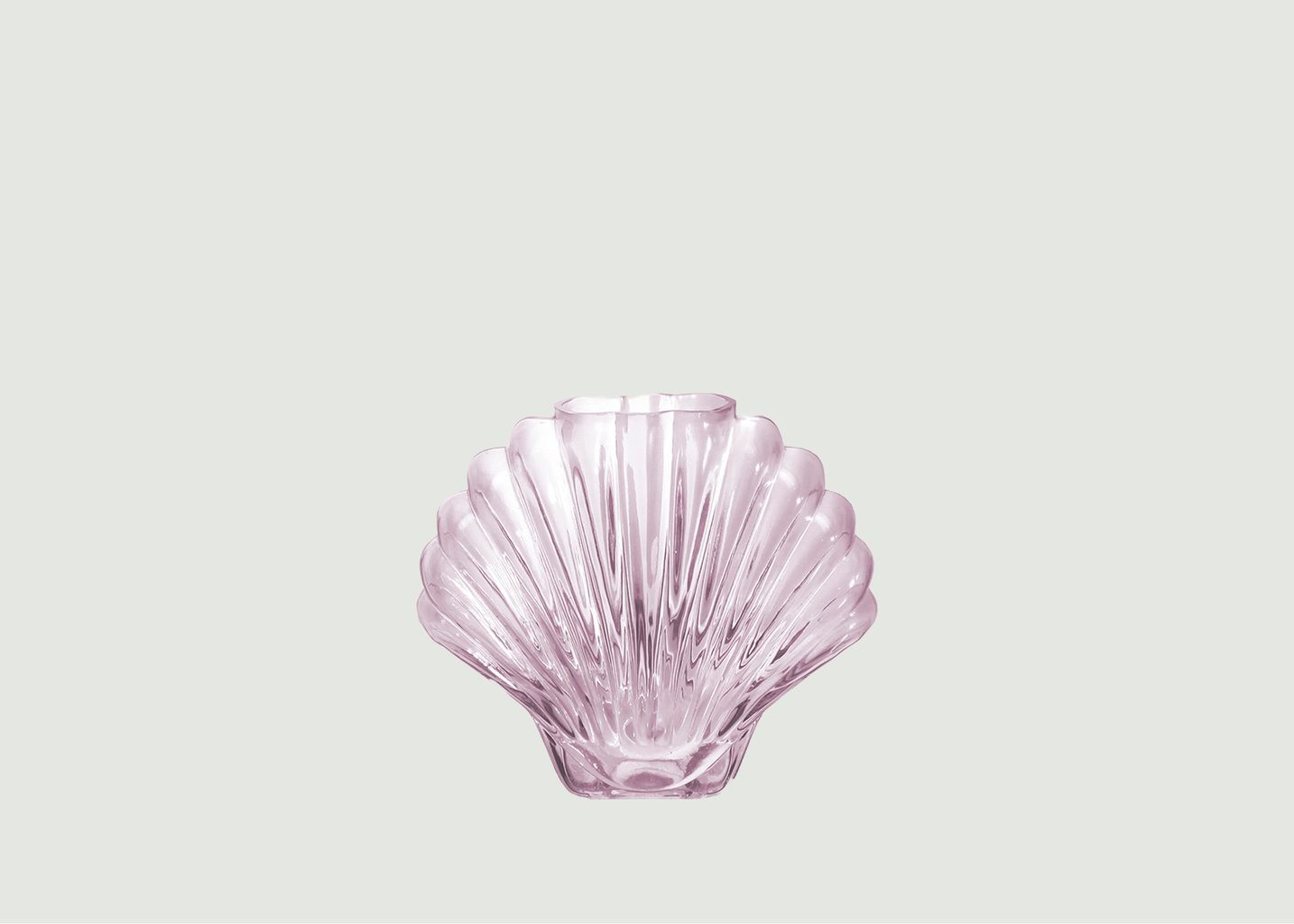 DOIY Design Vase In Shell