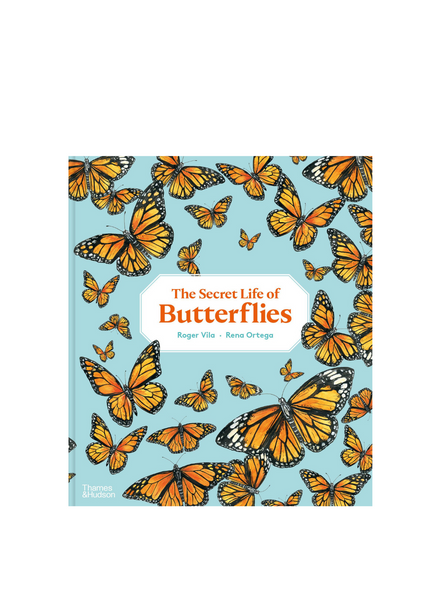 The Secret Life Of Butterflies