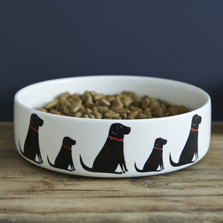 Large Black Labrador Dog Bowl