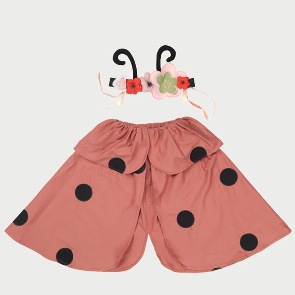 - Dress-up Ladybug Set