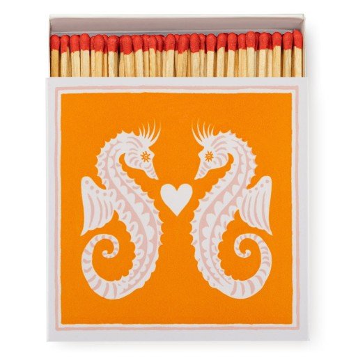Seahorses Safety Matches