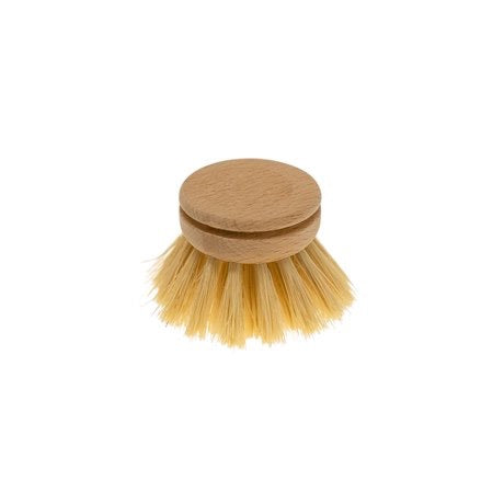 Refill Head For Dish Brush Everyday Beech Tampico Fibre