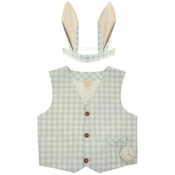 : Gingham Bunny Costume Set