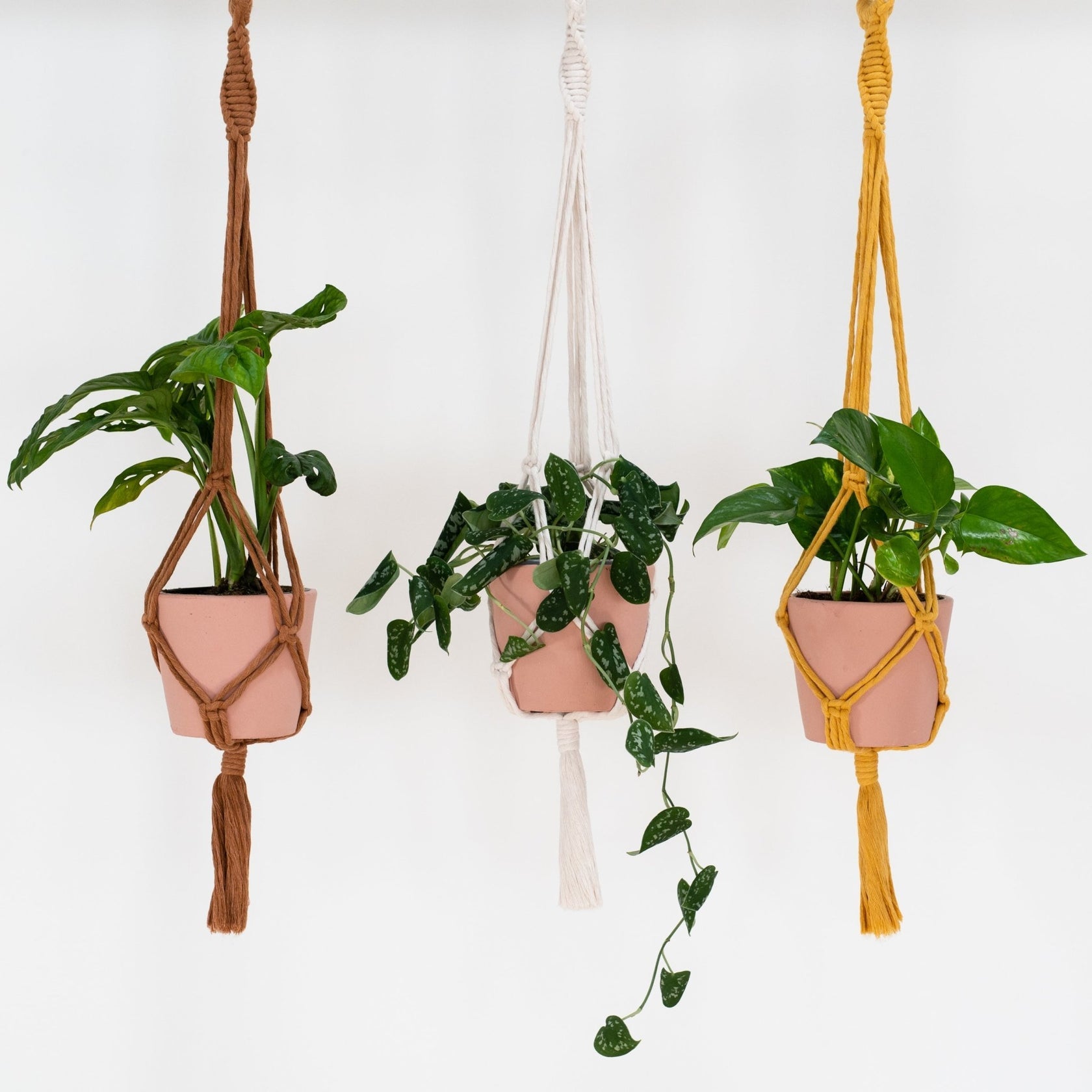 Make Your Own Macrame Plant Hanger Kit