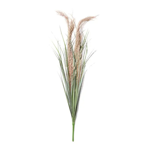 | Wild Pampas Grass Stem | Dried Flower