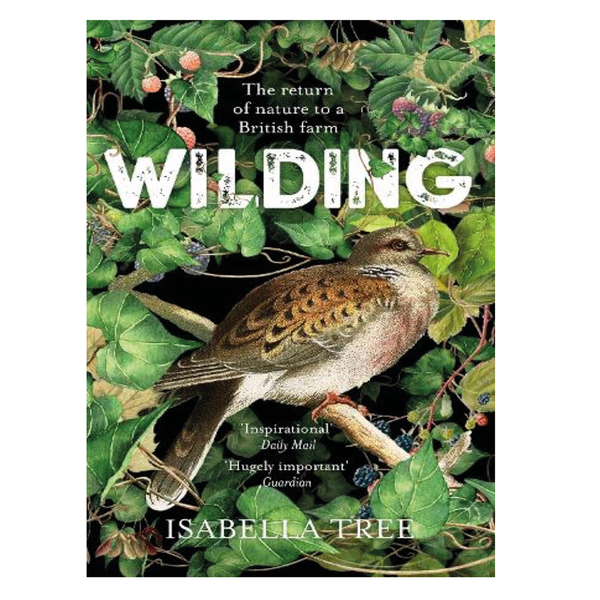 Pan Macmillan Wilding Book by Isabella Tree